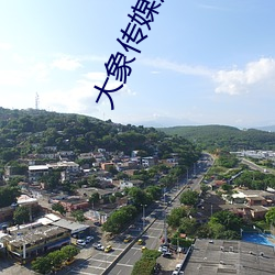 大象传媒原创国产
