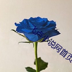 飞卢小(xiǎo)说网(wǎng)首页(yè)