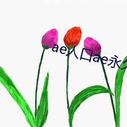 ae人口(kǒu)ae永久