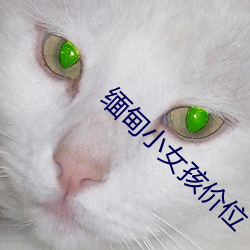 金年会(中国)官方网站