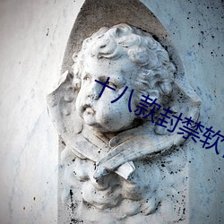十八款封禁軟件