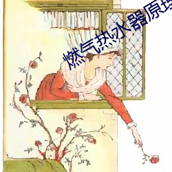 燃气热(rè)水器(qì)原理