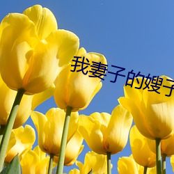 我妻(妻)子的嫂子