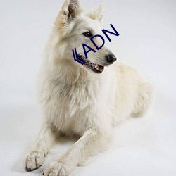 ADN