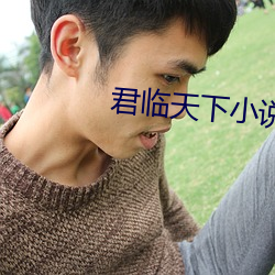 君临(lín)天下小说
