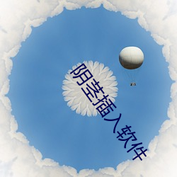 阴(陰)茎插入软(軟)件