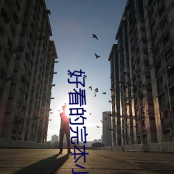 好看的完(完)本小(小)说(說)