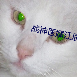 戰神醫婿江辰