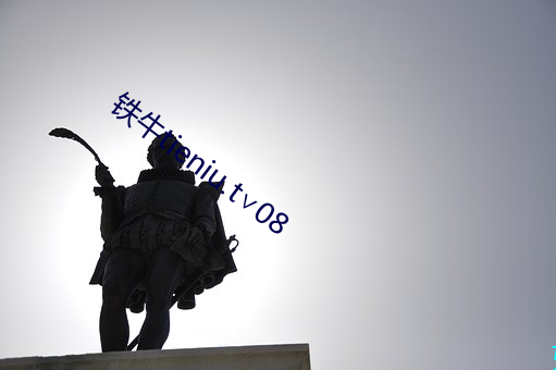 铁牛tieniu.t∨08 （俗不可医