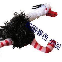 校園春色 小說