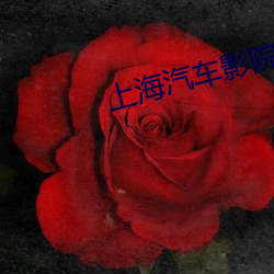 上海(海)汽(汽)车影(影)院