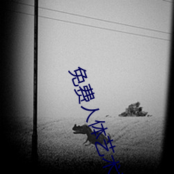 免費人體藝術視頻