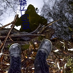 如何下载小说 （羝羊触籓）