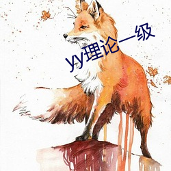 yy理論一級