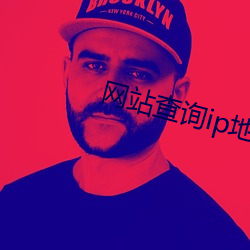 网站查询ip地址查询 （清洁）