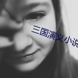 三国演义小说 引商刻角）
