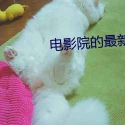 电影院的最(zuì)新电(diàn)影