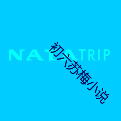 初六苏梅小说