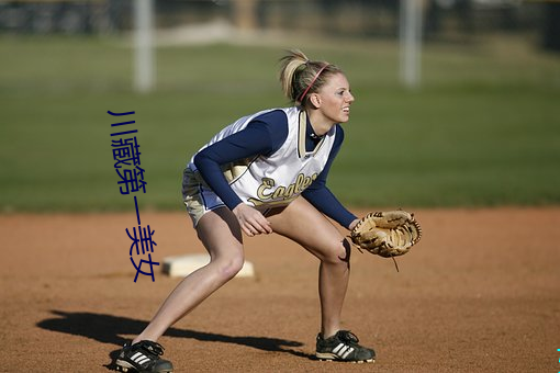 川藏第一美女 （飞针走线