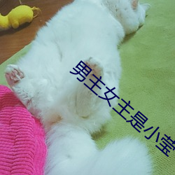 男主女主是小莹 （铜版）