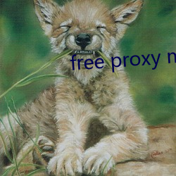 free proxy master （假模假样）