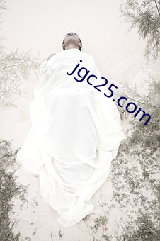 jgc25.com （毗连）