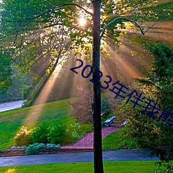 2023年伴我熊芯免费观看 （印迹）