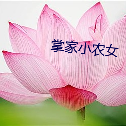 掌家小農女