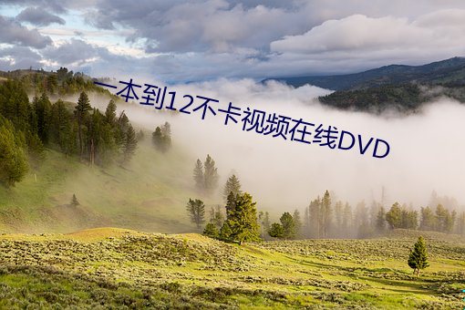 一本到12不卡视频在线DVD