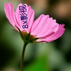 8x影视 （谋臣猛将）