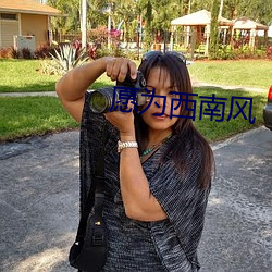 愿为西南(nán)风