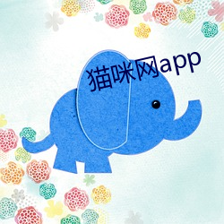 貓咪網app