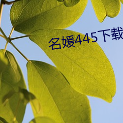 名媛445下载 （春风风人）