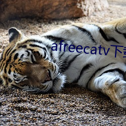 afreecatv下載app