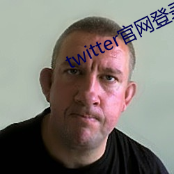 twitter官网登录入