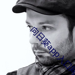 向日葵app入口網站