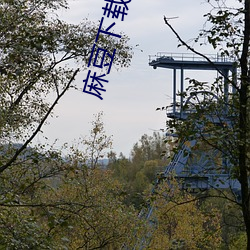 麻豆下载免费版下载ios （顶罪）