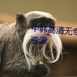 中韩(hán)高清无专码区2021曰高清版资(zī)源(yuán)