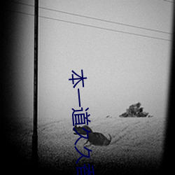 本一道久久香蕉