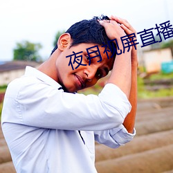 夜月視屏直播