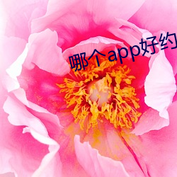 ()appԼ