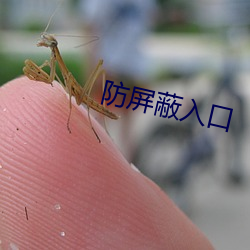 防屏蔽入口