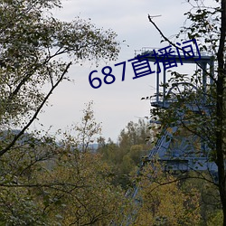 687直播间