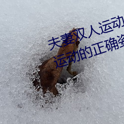 伉俪雙人運動姿勢72招圖片 (雙人運動的正確姿勢圖片)