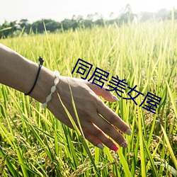 同居美(měi)女屋