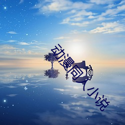 动漫同人小(xiǎo)说