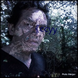 《ccyy