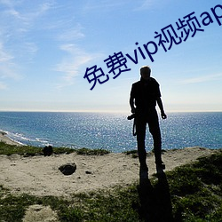 免费vip视频app 灵魂）