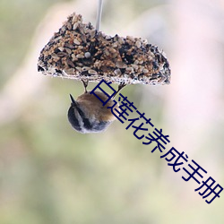 尊龙凯时·(中国)官方网站
