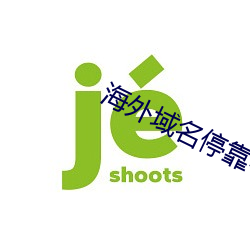 海外(wài)域名停靠平(píng)台